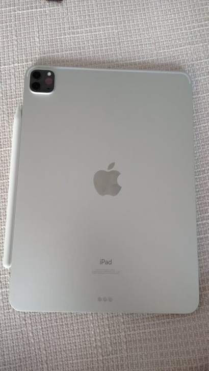 iPad Pro 国行11英寸，128g ...