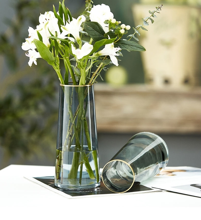 北欧ins玻璃花瓶透明水养富贵竹干鲜花百合...