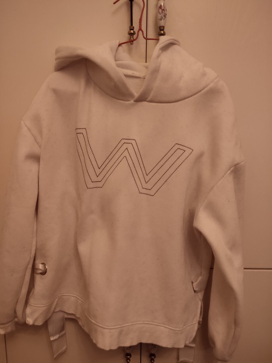 白色字母卫衣，厚，适合冬季，九成新
