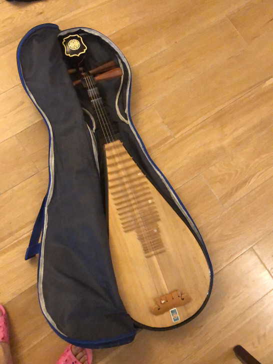 二手琵琶，中琴，搬家不想带所以出掉