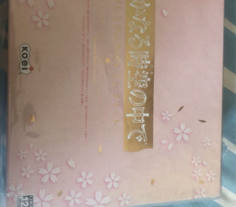 遥远时空中 P盒 PS PS2游戏盒合集 ...