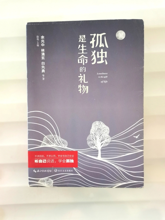 孤独是生命的礼物  余光中/林清玄/白先勇