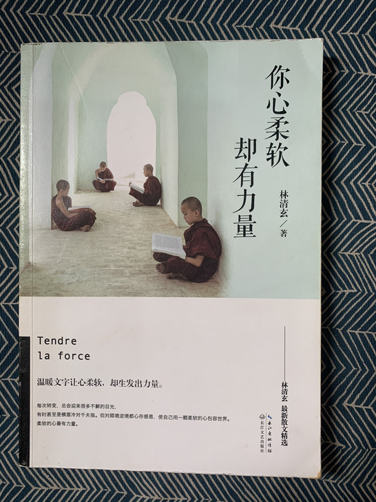 你心柔软 却有力量