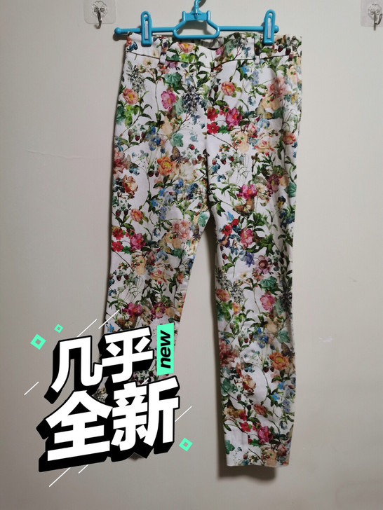 zara 印花女裤