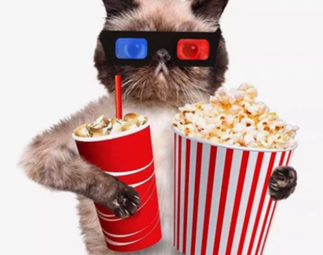 电影票 影城电影票优惠万达CGV金逸博纳大...