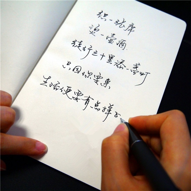 字帖成人行书 钢笔行书速成 手写体字帖硬笔...