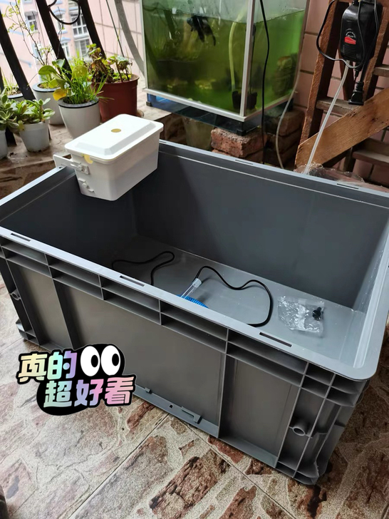 【60X40X28厘米】闲置塑料周转箱长方...