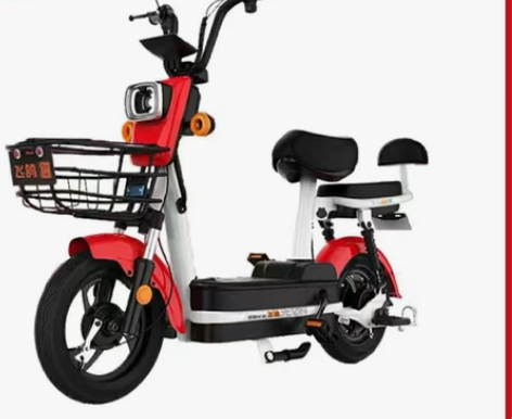 飞鸽电动车 全新 全新 标价就是卖价非诚勿...