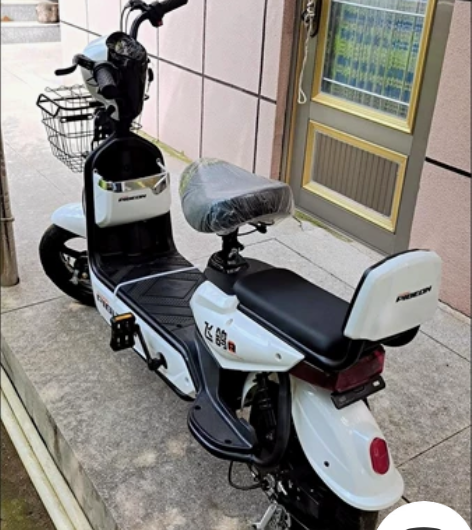 【急售急售】低价出全新电动车 飞鸽电动车男...