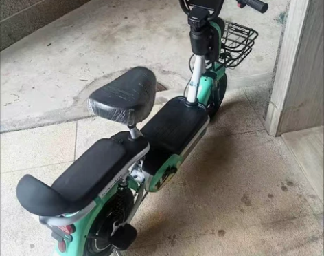 飞鸽新国标电动自行车48V小型电瓶车男女士...