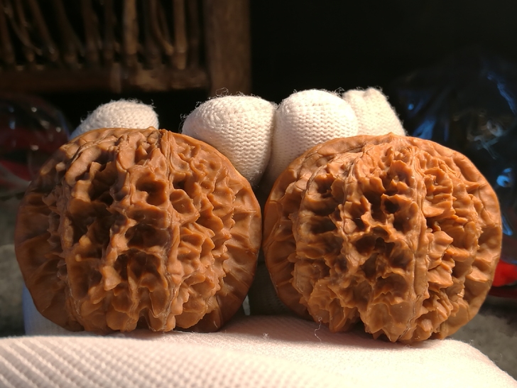 纯野生高密大花狮子头文玩核桃