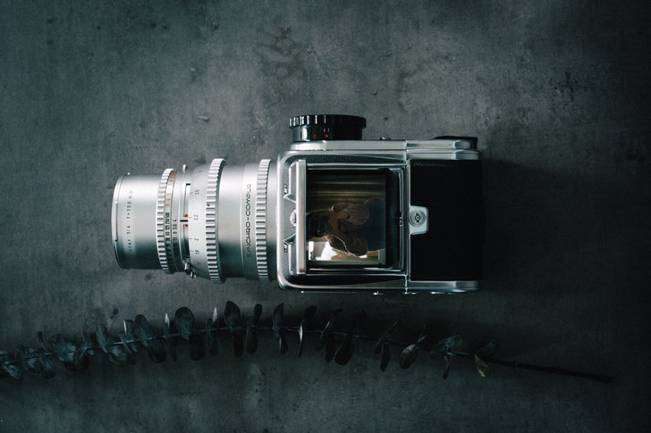 Hasselblad哈苏500cm