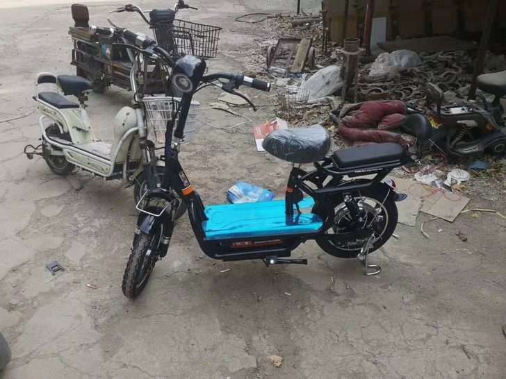全新，国标友鸽电动车