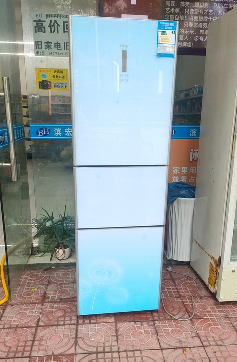 海尔彩晶王子冰箱BCD-216SDCX，面...