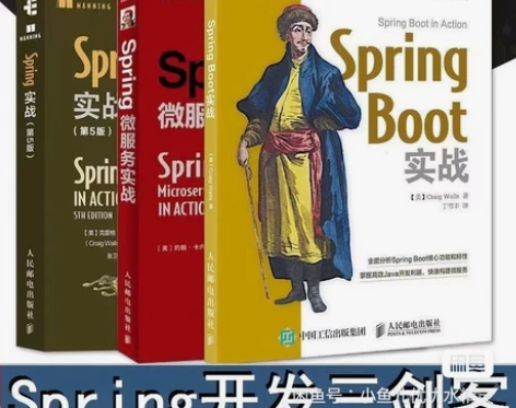 Spring Boot实战 Spring微...
