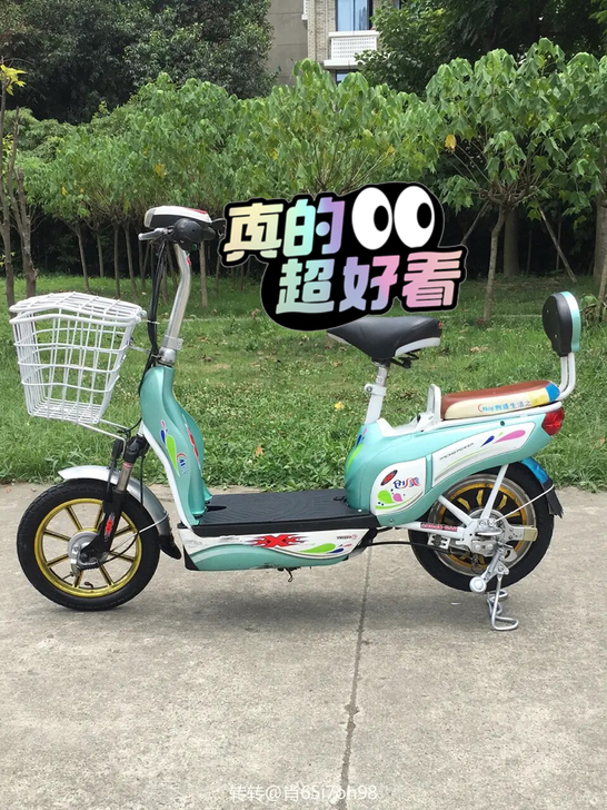 奇蕾电动车，全好新电池、48付达标车行
