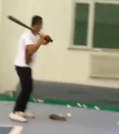 单招棒球垒球项目打击专项用手套（一双）： ...