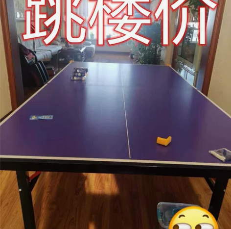 乒乓球台折叠家用室内乒乓球台国际标准乒乓球...