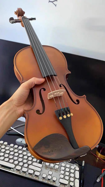 【低价捡漏】全新小提琴初学者成人学生练习演奏