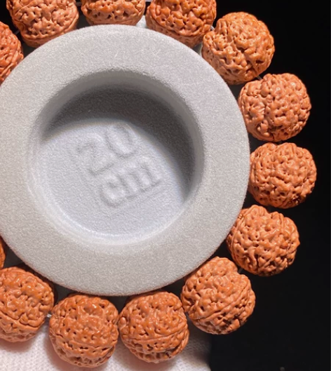 17+炮弹头蜂王菠萝蜜大金刚小尺寸，肉度非...