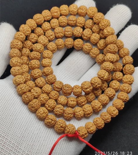 9*7印尼梅花双龙平头平尾树祖树神小金刚菩...