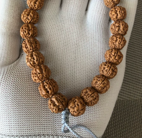 帝王花单圈，颗颗秒沉水，颗颗大肥龙，龙脊突...