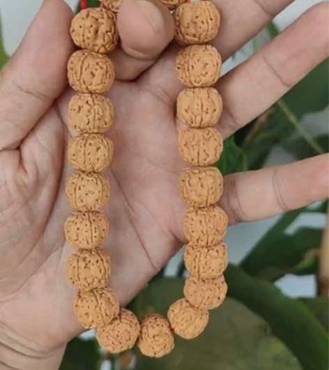 树祖小金刚菩提手持,尺寸14.5左右,五瓣...