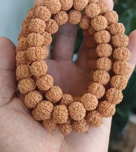 五瓣树祖龙王小金刚菩提脖挂,尺寸11,10...