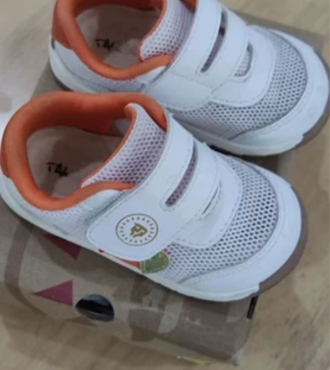 泰兰尼斯,18码(内长12.5左右,相当于...