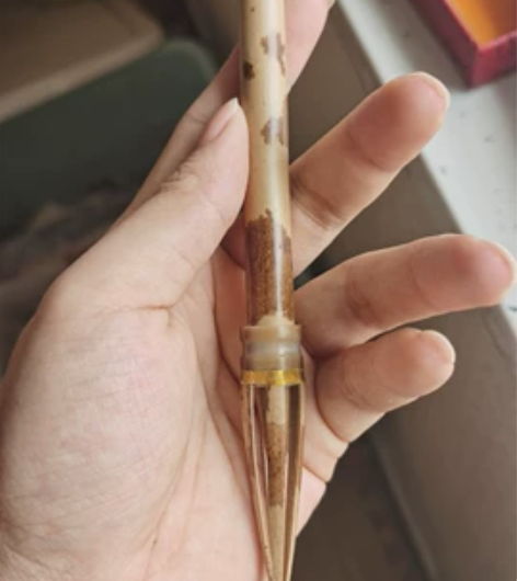 纯狼毫仿唐带帽毛笔，大师手作 95%的纯度...
