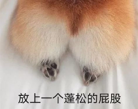 汉服影楼,汉服社团 汉服出租 道具的来收便...