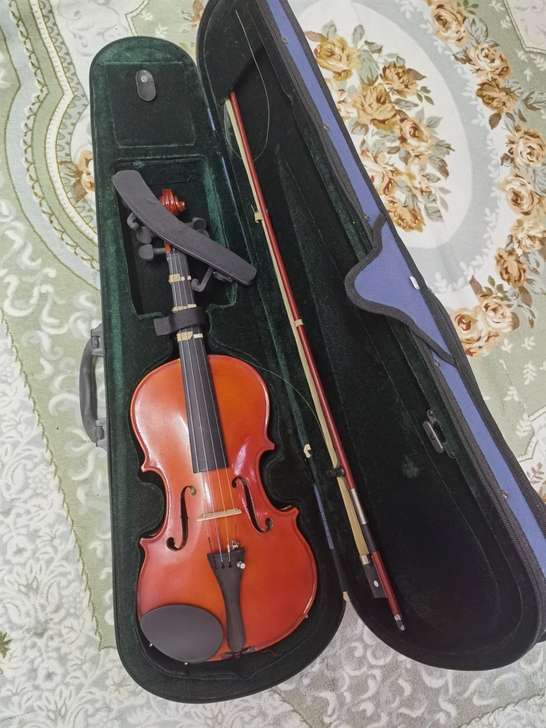 出红棉小提琴