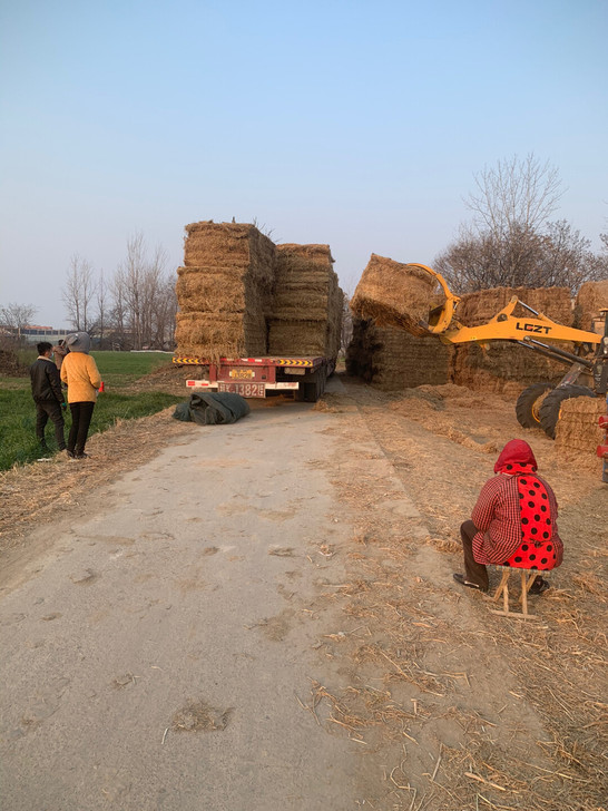 大捆稻草，优质牛羊饲草