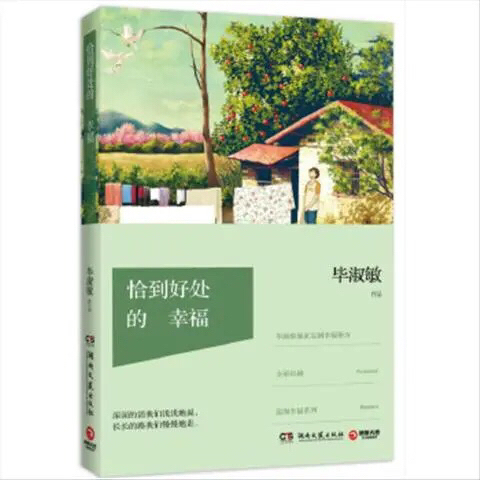 恰到好处的幸福 毕淑敏 湖南文艺出版社 9...