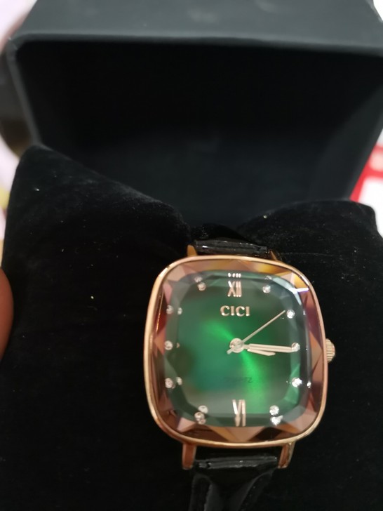 小绿表，全新，99包邮！