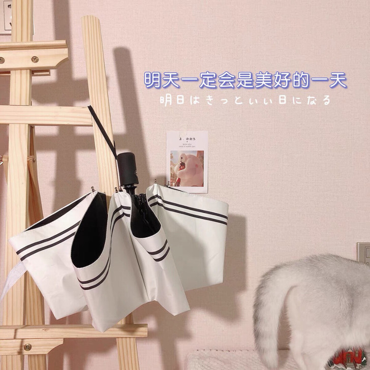 自动伞 这款伞白色双条纹很ins，百搭，网...