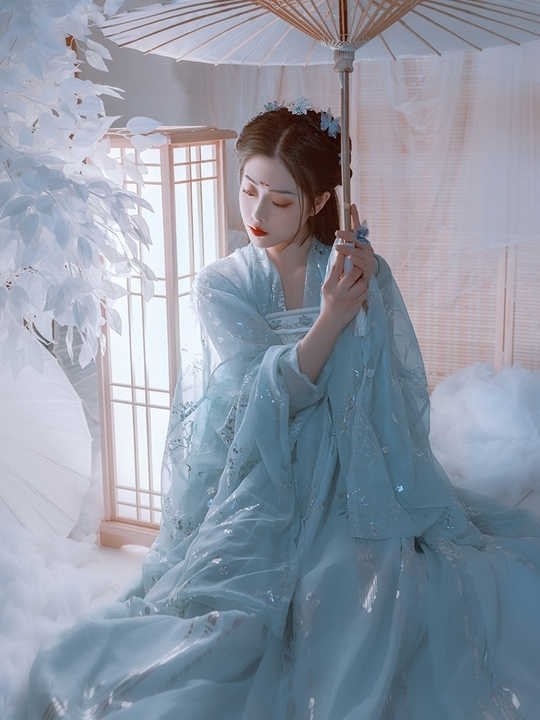 蓝云鹤汉服，仅穿过一次洗过（含大袖衫）