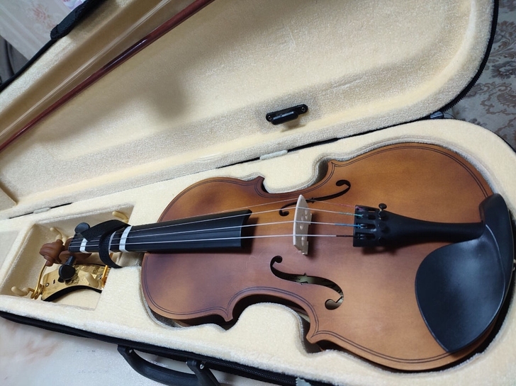 全新出 980入手的44小提琴，买了没弹过...