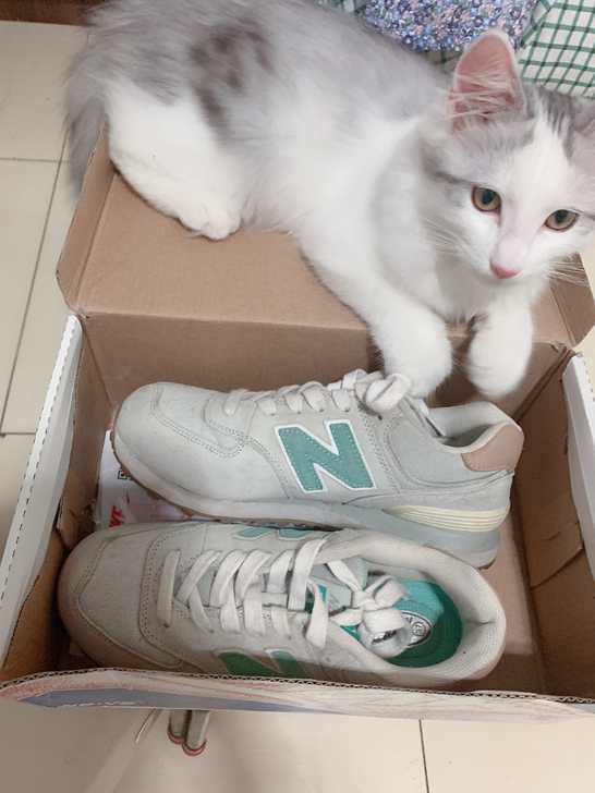 新百伦薄荷绿运动鞋