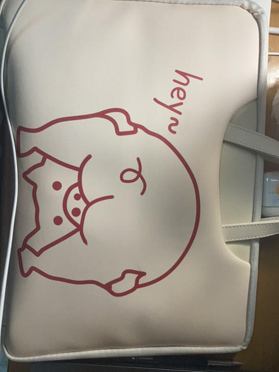 电脑包，一次都没用过，15.6以下的尺寸我...