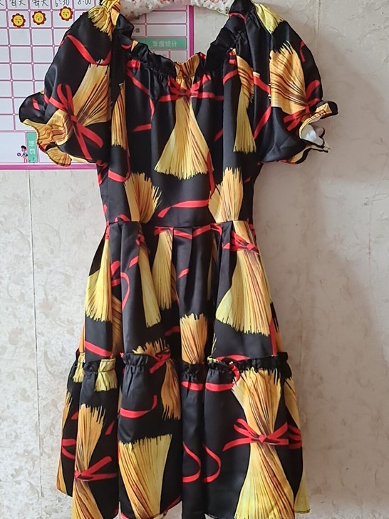 稻草蝴蝶结连衣裙,买来近两百,一次没有穿过...