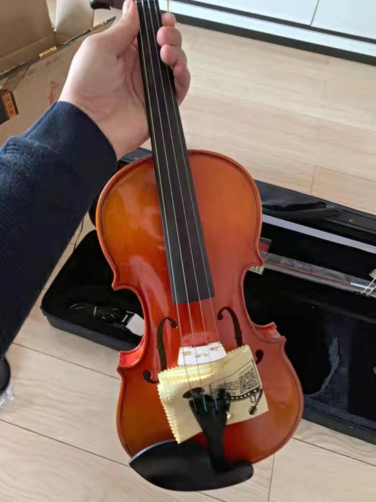 琴行不干了，全新红棉小提琴低价出，红棉小提...
