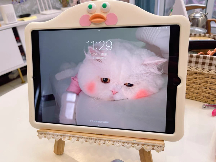 学生 ipad平板苹果2019 2020