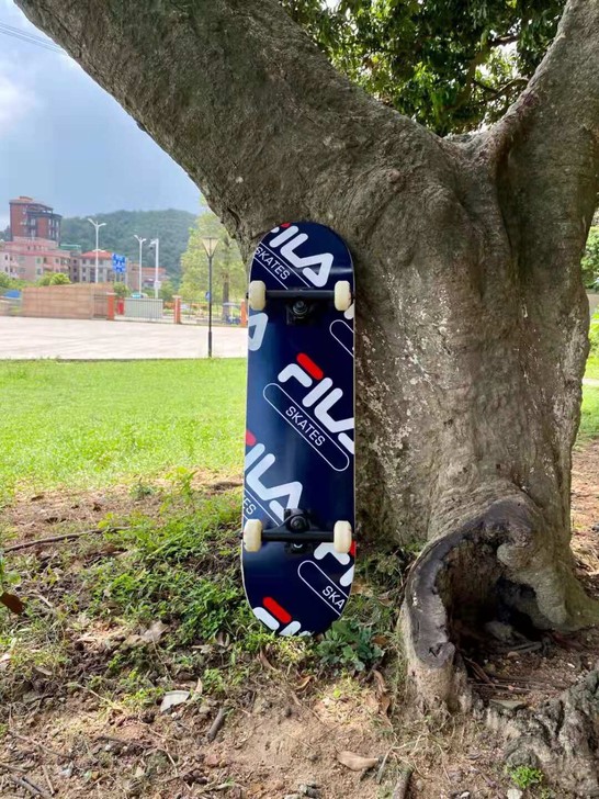 血亏价FiLA专业双翘滑板新手初学入门代步...