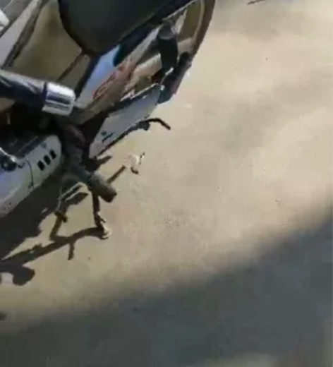 基本全新,没怎么骑,买来到现在摔过一跤之后...