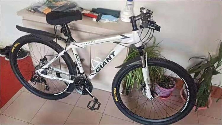 【超值】捷安特越野山地车城市户外自行车男女...