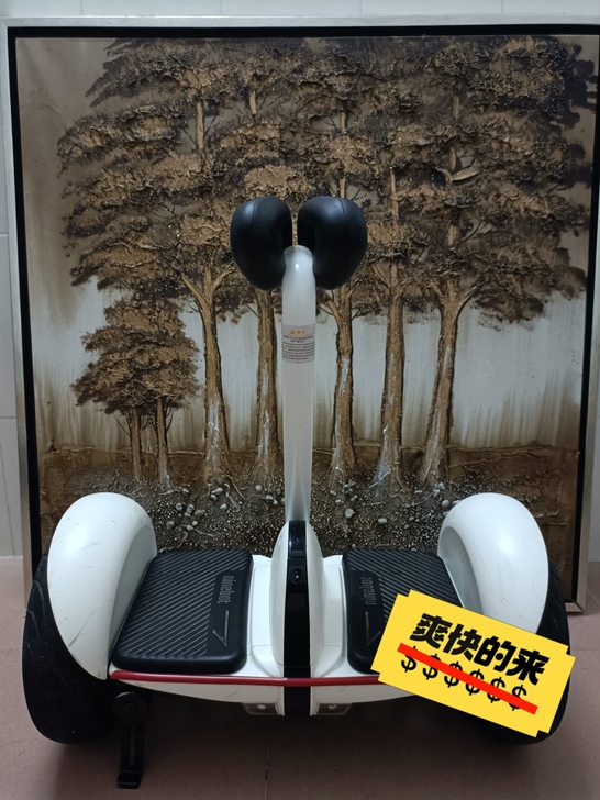 小米ninenot 9号智能平衡车