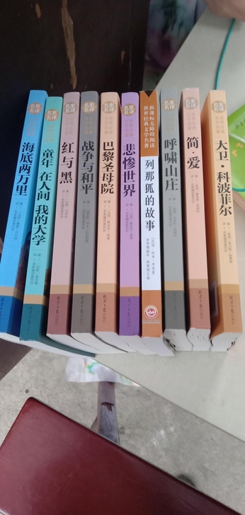 闲置十本世界名著，中文正版翻译，悲惨世界，...