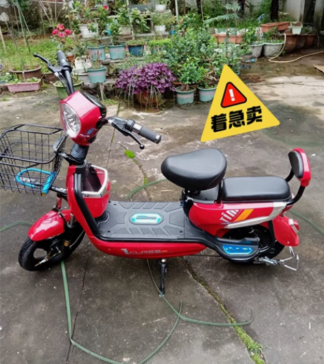 【紧急处理】成人男女士电动车宝妈小型轻便电...