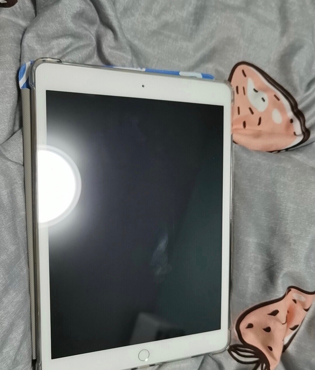 自用ipad2018款平板128G 95新...
